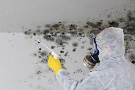  , USA Mold Remediation Pros